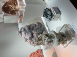 Museo Civico Milano (11)